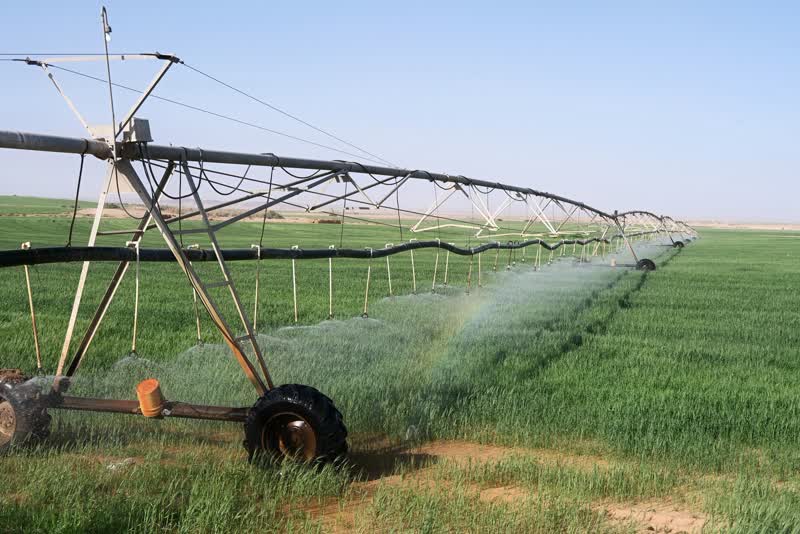 Irrigation networks for farms